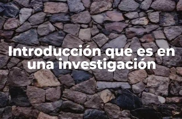 Introducción que es en una Investigación