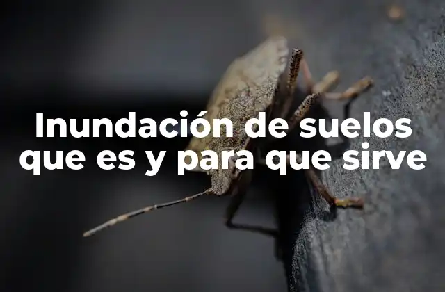 Inundación de Suelos que es y para que Sirve