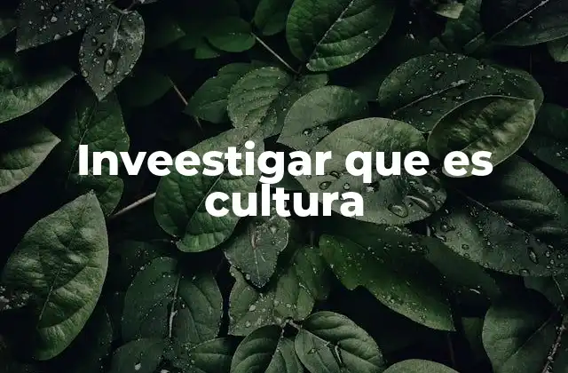 Inveestigar que es Cultura