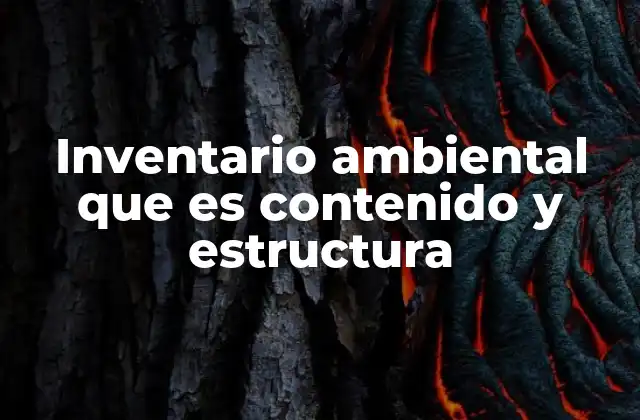 Inventario Ambiental que es Contenido y Estructura