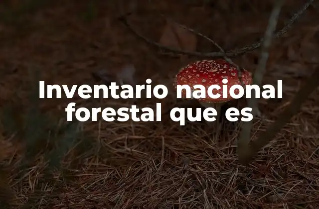 Inventario Nacional Forestal que es