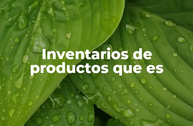 Inventarios de Productos que es