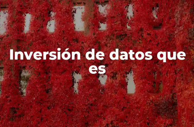 Inversión de Datos que es