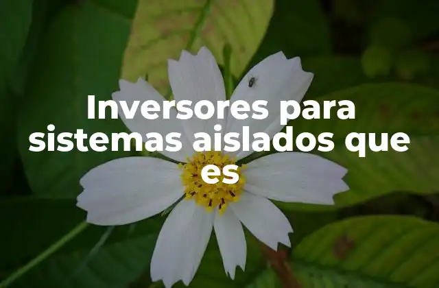 Inversores para Sistemas Aislados que es