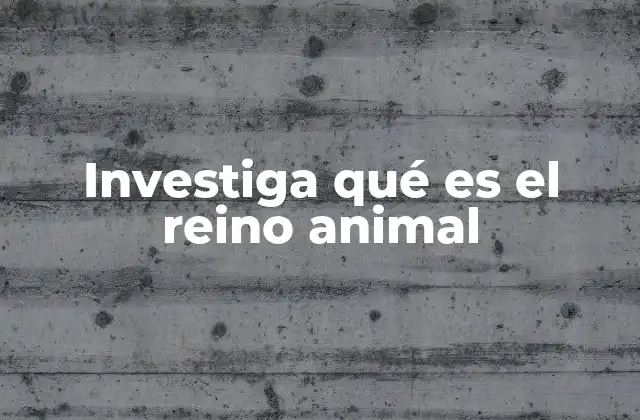 Investiga Qué es el Reino Animal