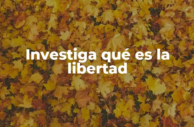 Investiga Qué es la Libertad