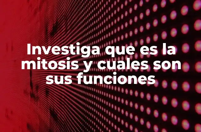Investiga que es la Mitosis y Cuales Son Sus Funciones