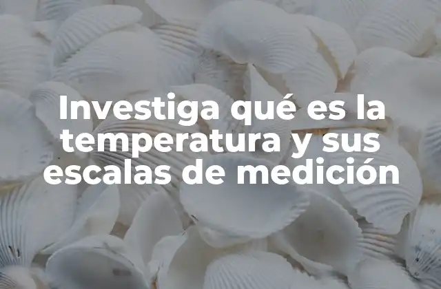 Investiga Qué es la Temperatura y Sus Escalas de Medición 2 La importancia de medir la temperatura en la vida cotidiana