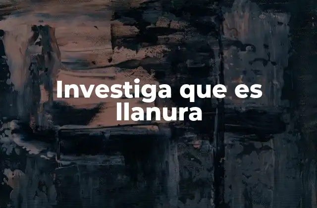 Investiga que es Llanura