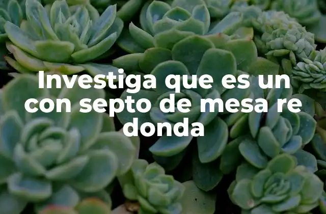 Investiga que es un con Septo de Mesa Re Donda