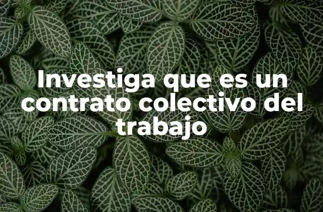 Investiga que es un Contrato Colectivo Del Trabajo