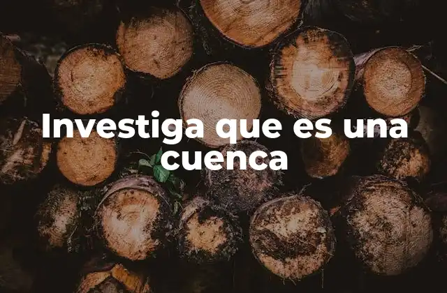 Investiga que es una Cuenca