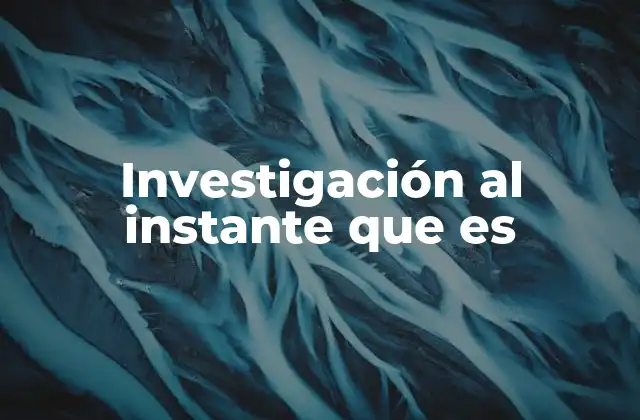 Investigación Al Instante que es