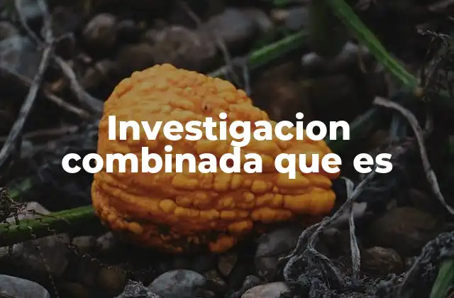 Investigacion Combinada que es