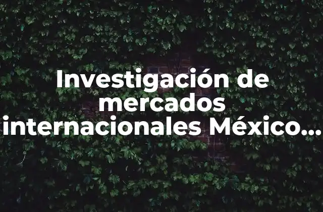 Investigación de Mercados Internacionales México que es la Importancia