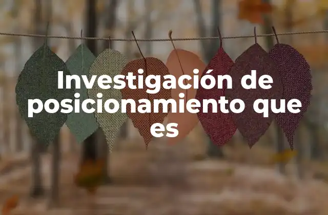 Investigación de Posicionamiento que es