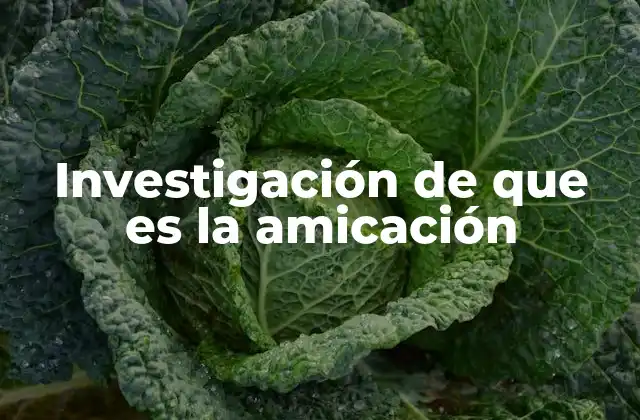 Investigación de que es la Amicación