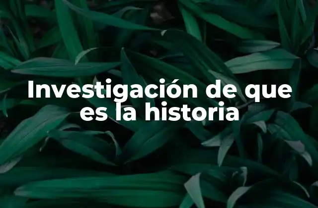 Investigación de que es la Historia