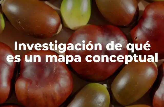 Investigación de Qué es un Mapa Conceptual