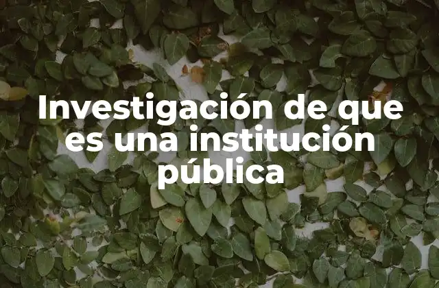 Investigación de que es una Institución Pública
