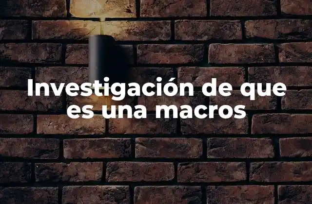 Investigación de que es una Macros