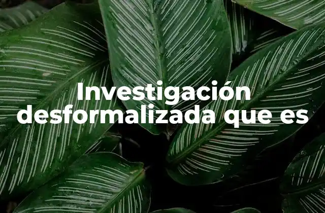 Investigación Desformalizada que es