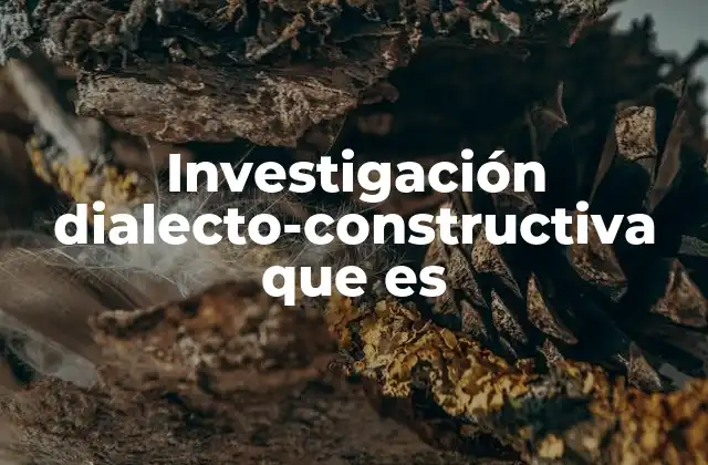 Investigación Dialecto-constructiva que es