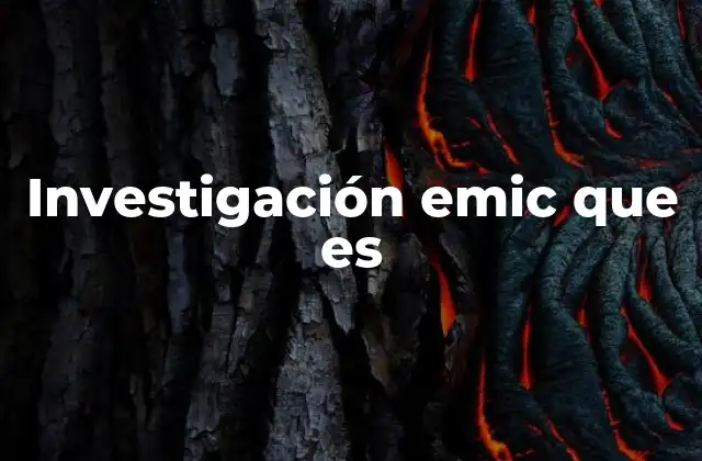 La perspectiva interna en la investigación social