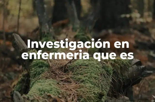 Investigación en Enfermeria que es