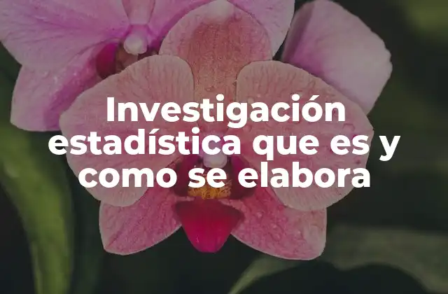 Investigación Estadística que es y como Se Elabora