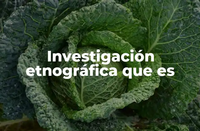 Investigación Etnográfica que es