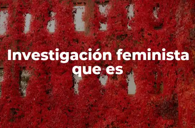 Investigación Feminista que es