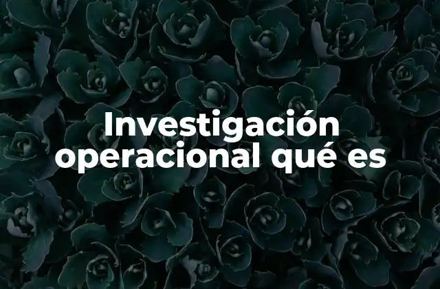 Investigación Operacional Qué es