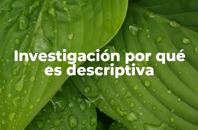 Investigación por Qué es Descriptiva