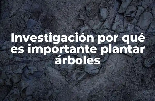 Investigación por Qué es Importante Plantar Árboles