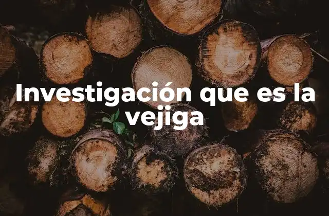 Investigación que es la Vejiga