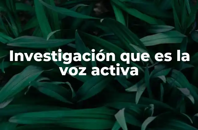 Investigación que es la Voz Activa