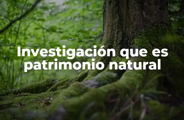 Investigación que es Patrimonio Natural