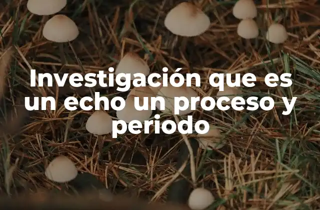 Investigación que es un Echo un Proceso y Periodo