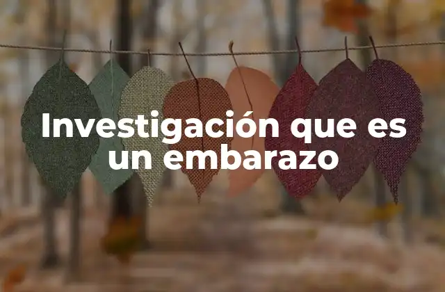 Investigación que es un Embarazo