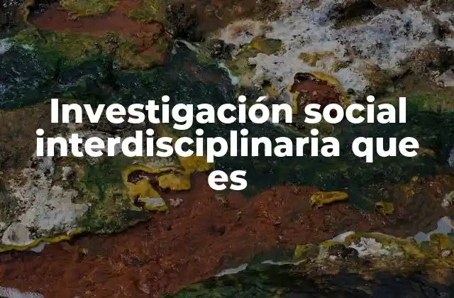 Investigación Social Interdisciplinaria que es