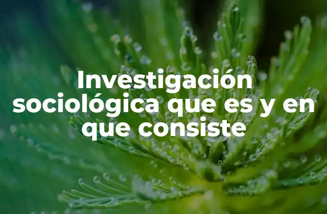 Investigación Sociológica que es y en que Consiste
