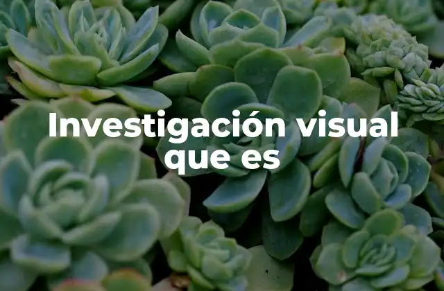 La importancia de los enfoques visuales en el estudio de la realidad