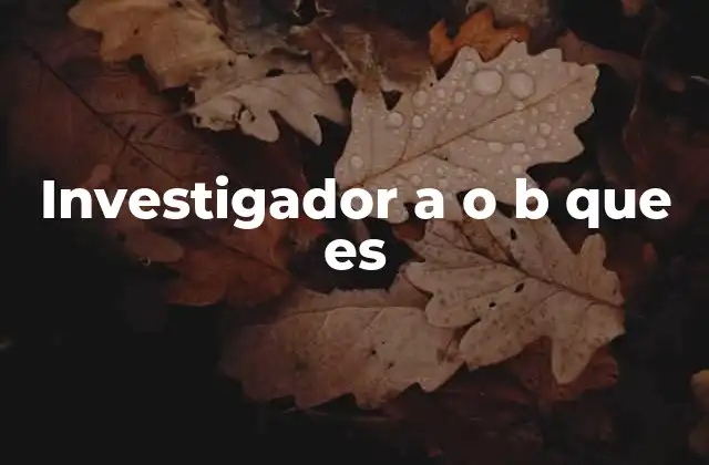 Investigador a o B que es