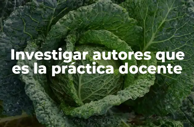 Investigar Autores que es la Práctica Docente