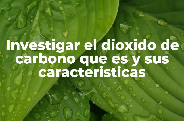 Investigar el Dioxido de Carbono que es y Sus Caracteristicas