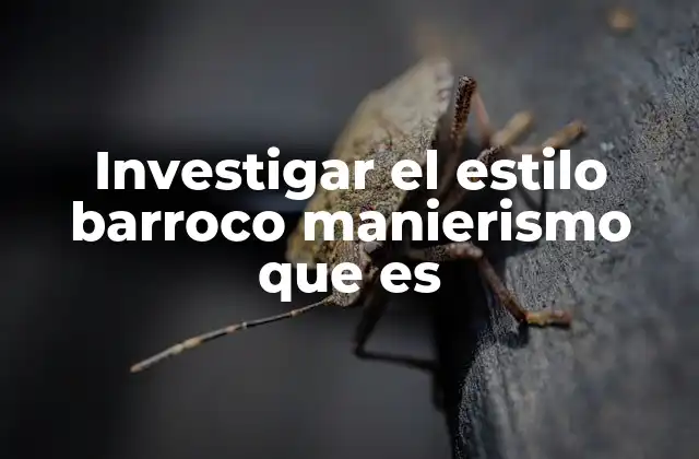 Investigar el Estilo Barroco Manierismo que es