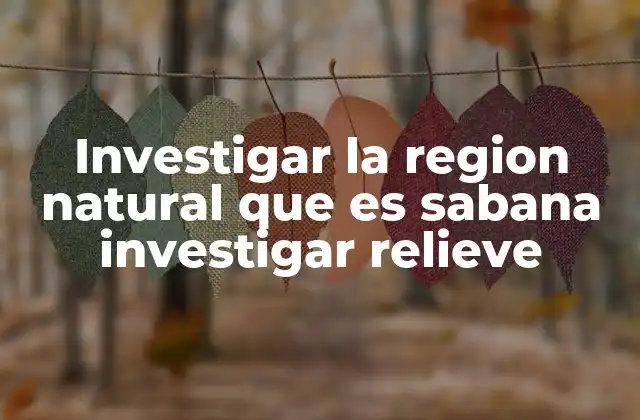 Investigar la Region Natural que es Sabana Investigar Relieve
