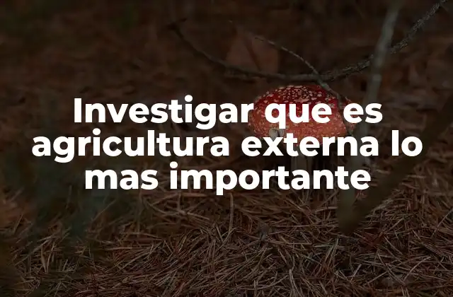 Investigar que es Agricultura Externa Lo mas Importante