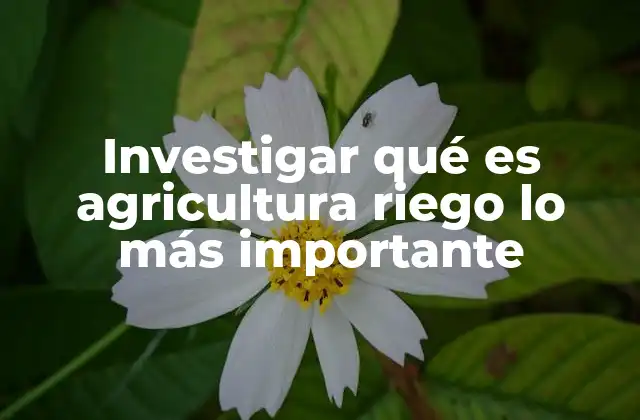 Investigar Qué es Agricultura Riego Lo Más Importante